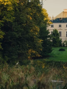 Fundacja Świdno